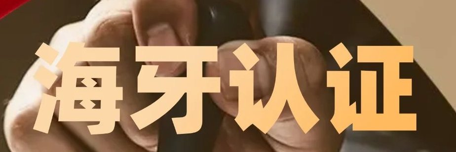 RevoltInStyle's profile banner image