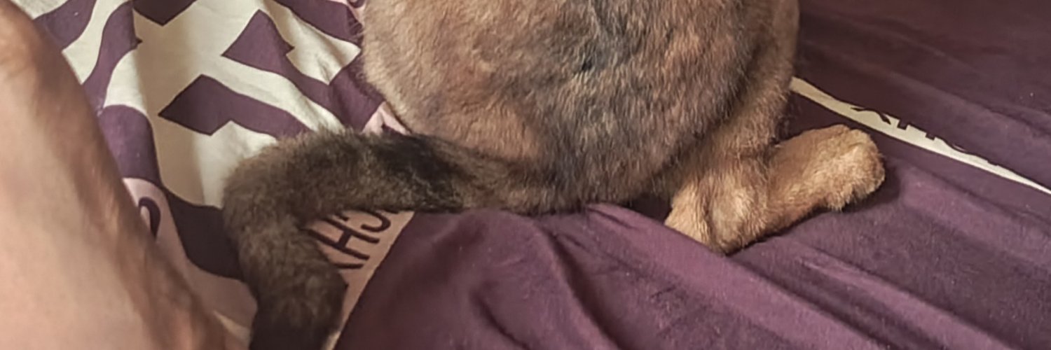PaddyCyber's profile banner image