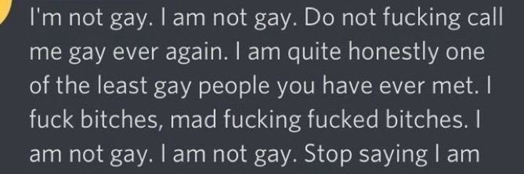 tboy hollander banner