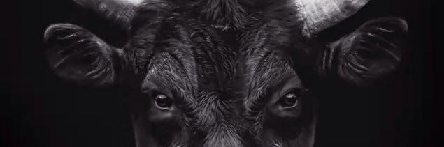 RLoggies's profile banner image