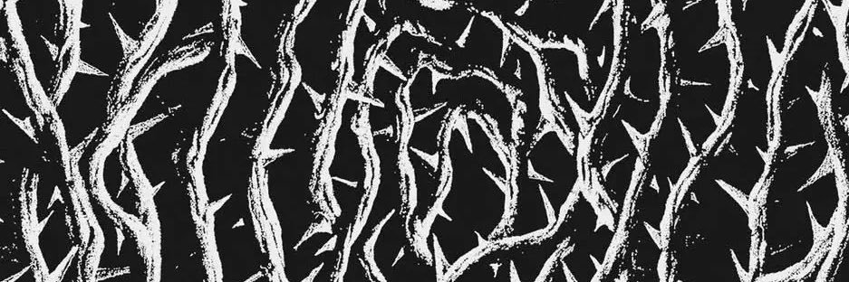 vlxssic's profile banner image
