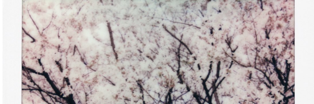 まる banner