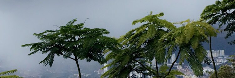 tibte's profile banner image
