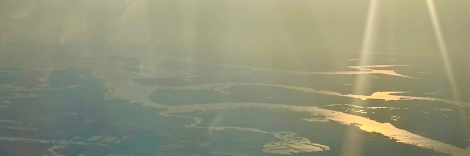 Looking around banner