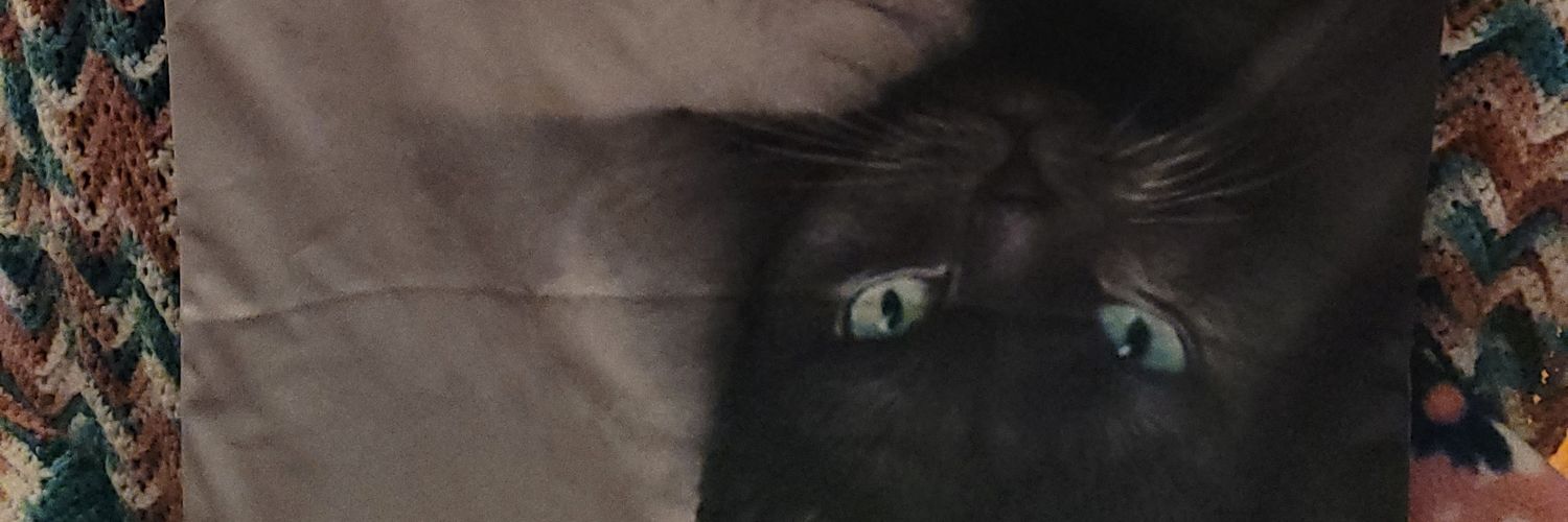 TamiLeigh's profile banner image