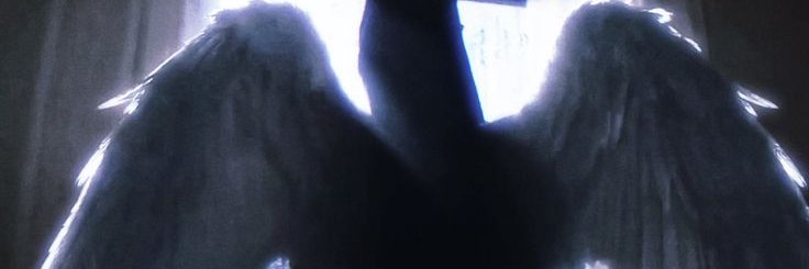 𝒦ℴ𝓀𝒾𝒸𝒽𝒾 / 𝒜𝓃𝑔ℯ𝓁 𝒥𝒶𝓎 (𝒮𝒽ℯ𝒹𝓉𝓌𝓉) banner