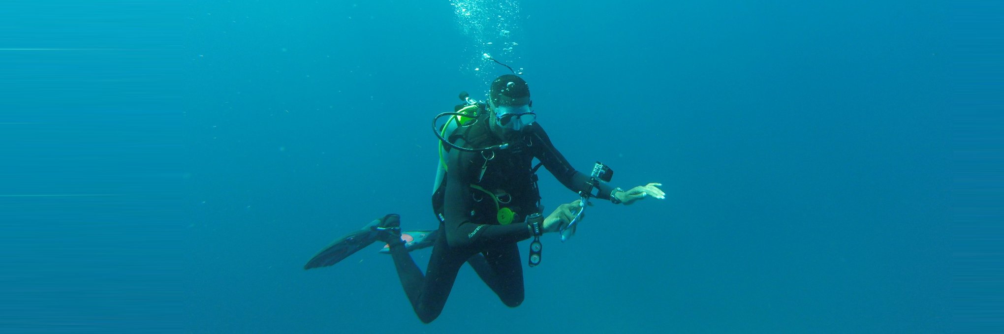 Desi Reuben-Sealey banner