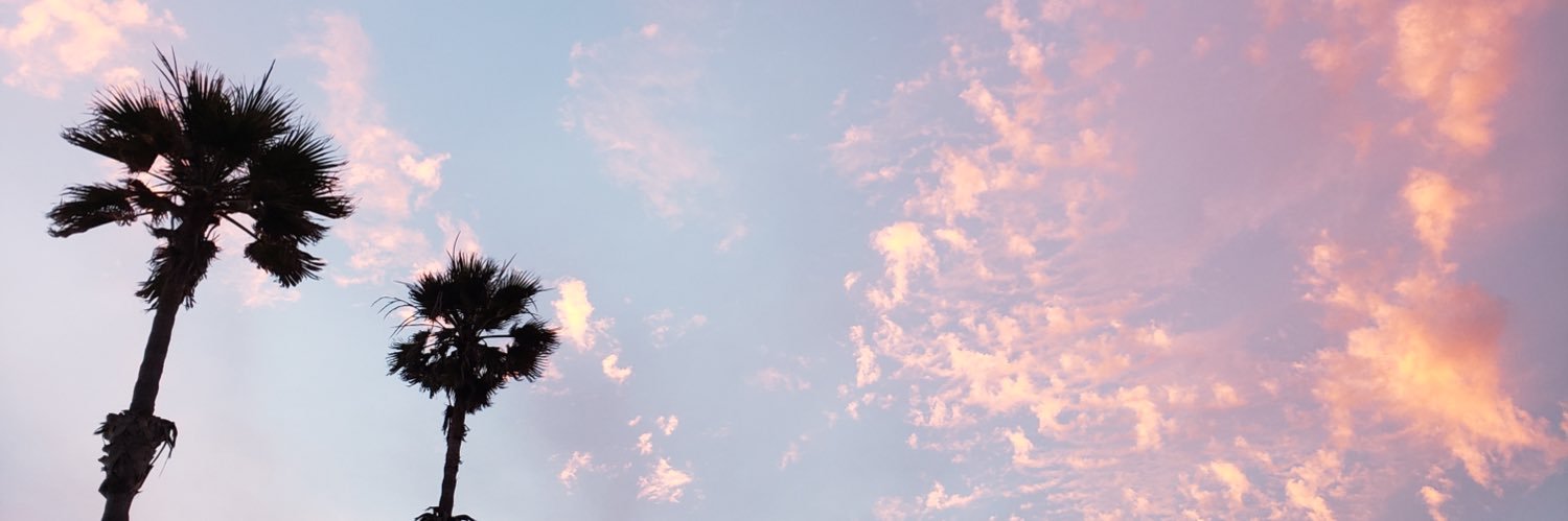 Sunset Skye 🌅 banner