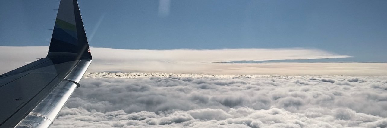 Amelia Agassi • San Francisco banner