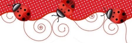 ShaneBug Hollander banner