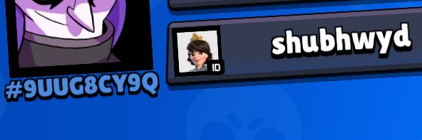 Shubs banner
