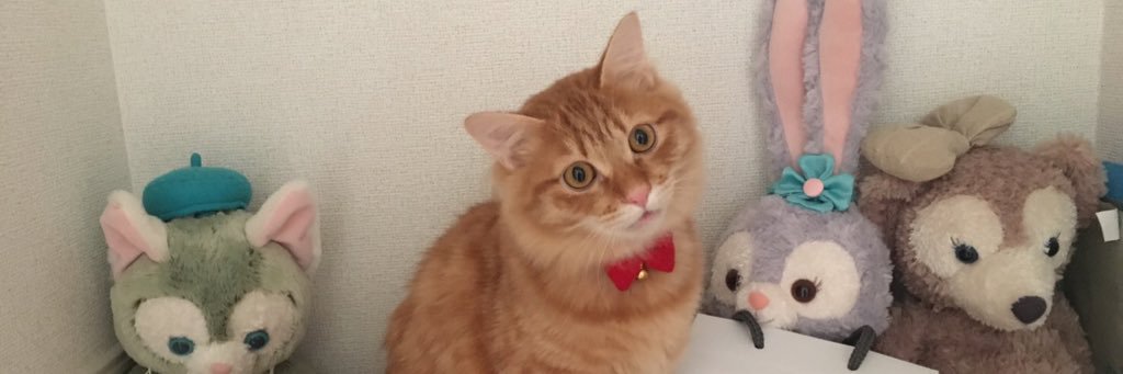 Bokudut's profile banner image
