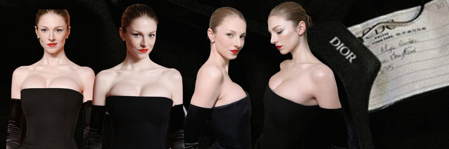 ◜ 𑣲ANGELINA banner