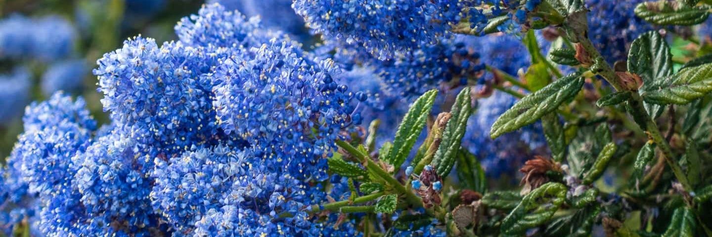 Floridinns's profile banner image