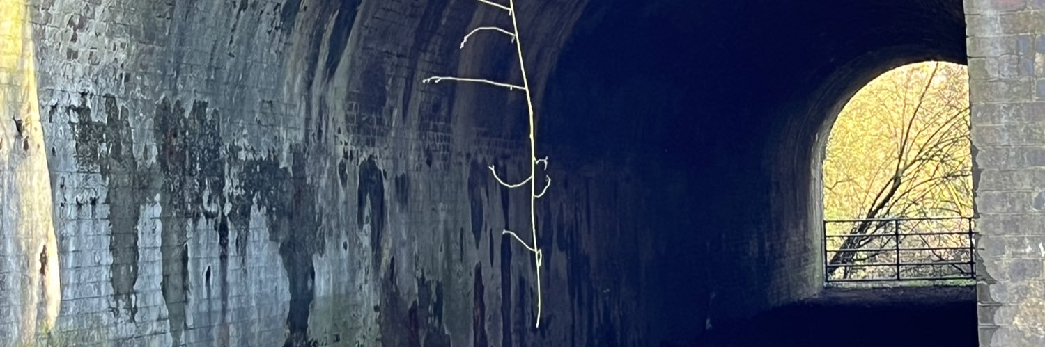 Karolina Sutton banner