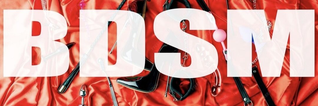 CFS.BDSMVN banner