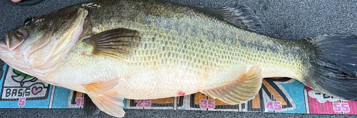 屁神☺︎マリ banner