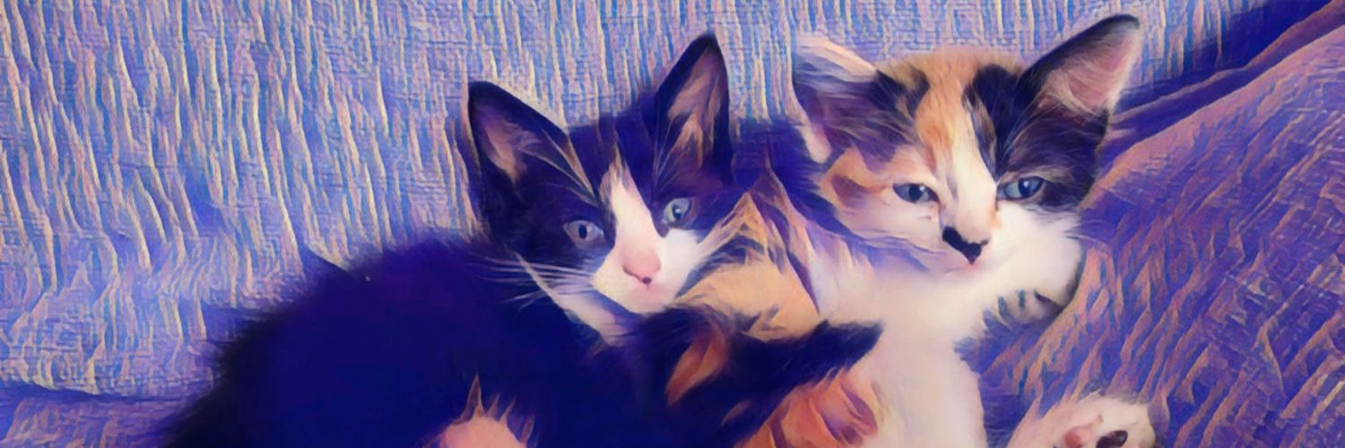 dangerdrive's profile banner image