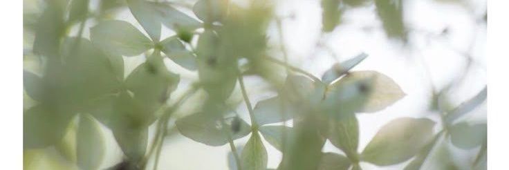 jas ☆°• (6/20lbs) banner