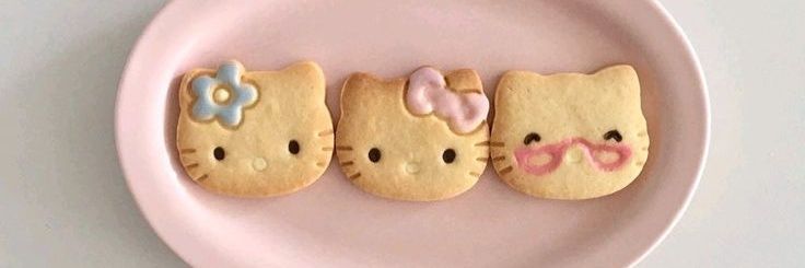 치코 ‧₊˚ ⋅ ♡ banner