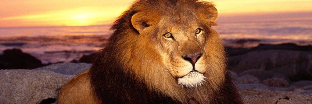 David Gitonga banner