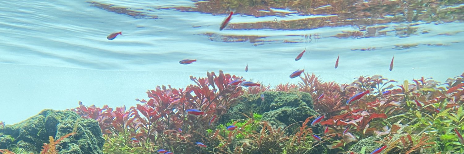 tako1840's profile banner image