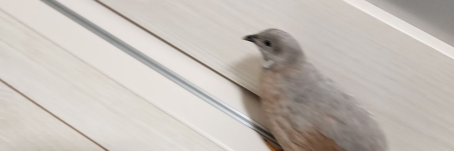 kerohato's profile banner image