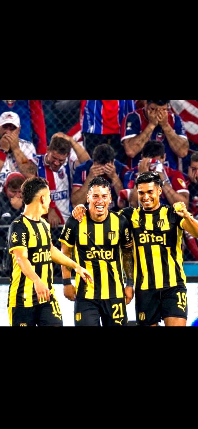 seba banner
