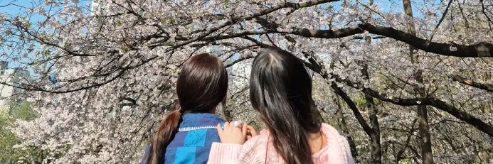 xènan #caryeonholic banner