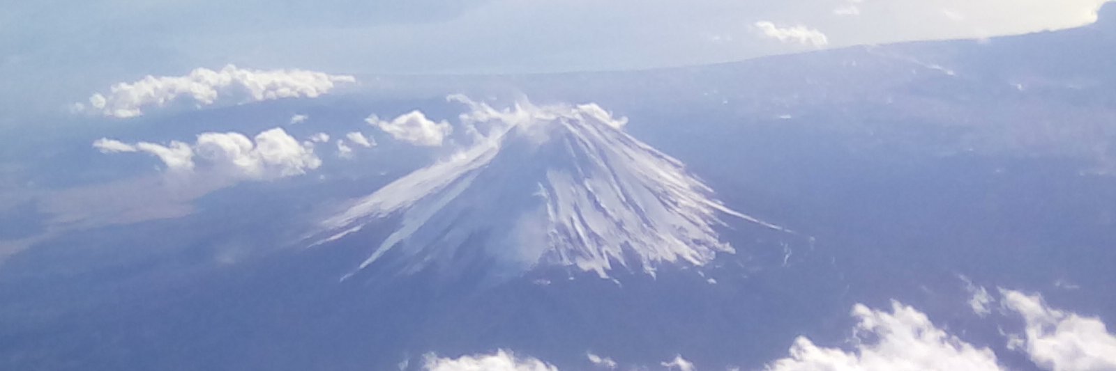 虎次(とら🐯つぐ)aka沙漠の虎 banner