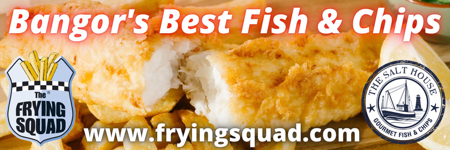 FryingSquad's profile banner image
