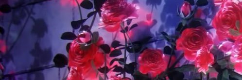 ♪ banner