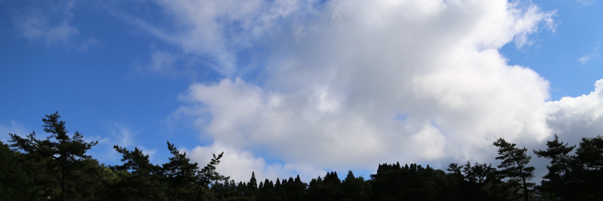 o_6v's profile banner image