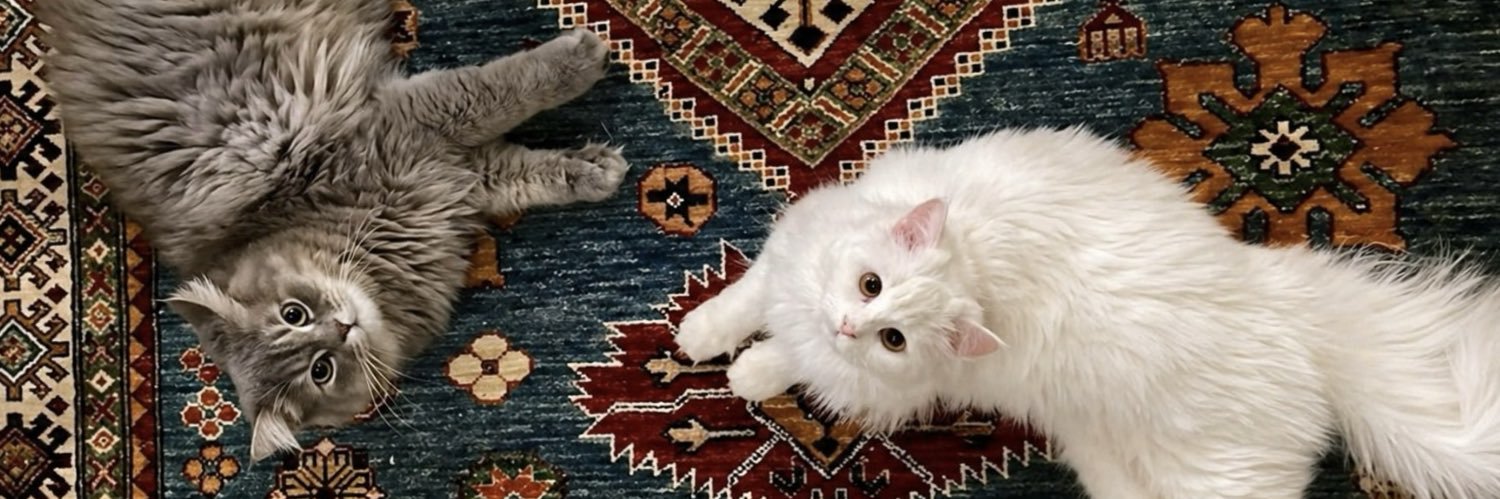 𝐁. banner