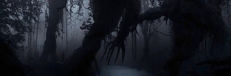 v banner