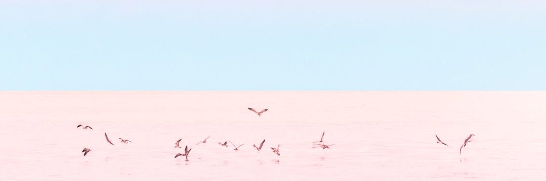 ananajia's profile banner image