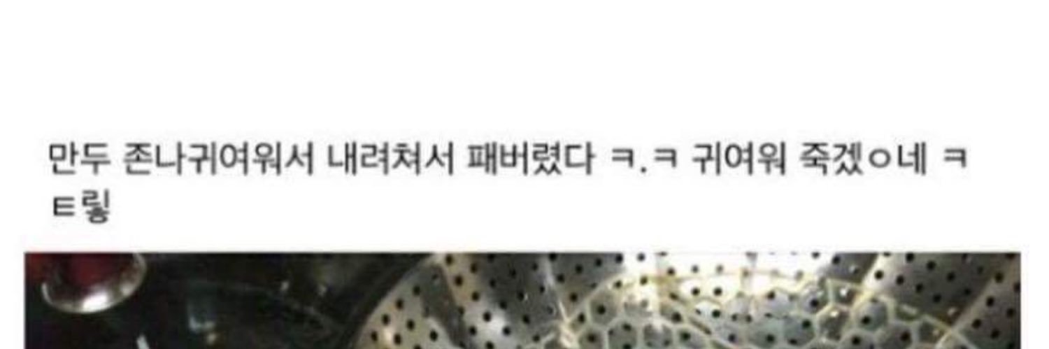 만듀 . . 🥟 banner