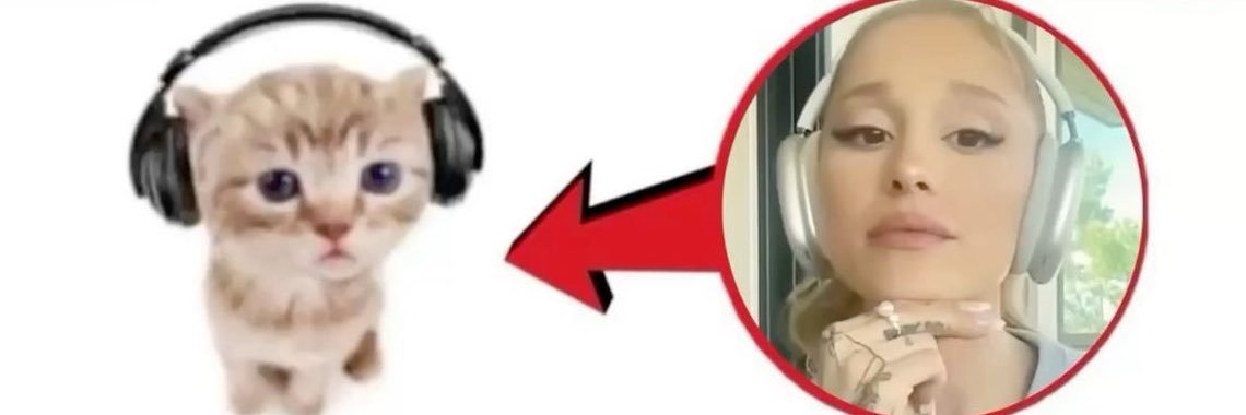 tummyt1ckler's profile banner image