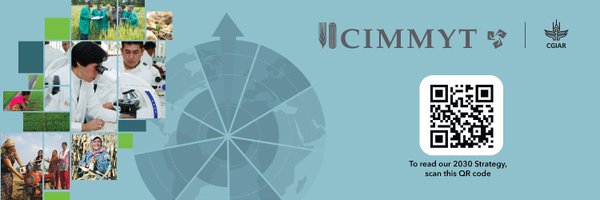 CIMMYT Profile Banner