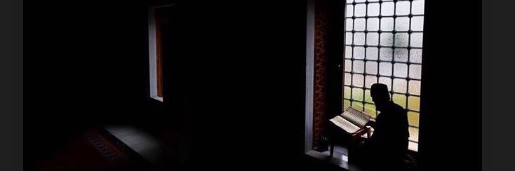 mstertgrl's profile banner image