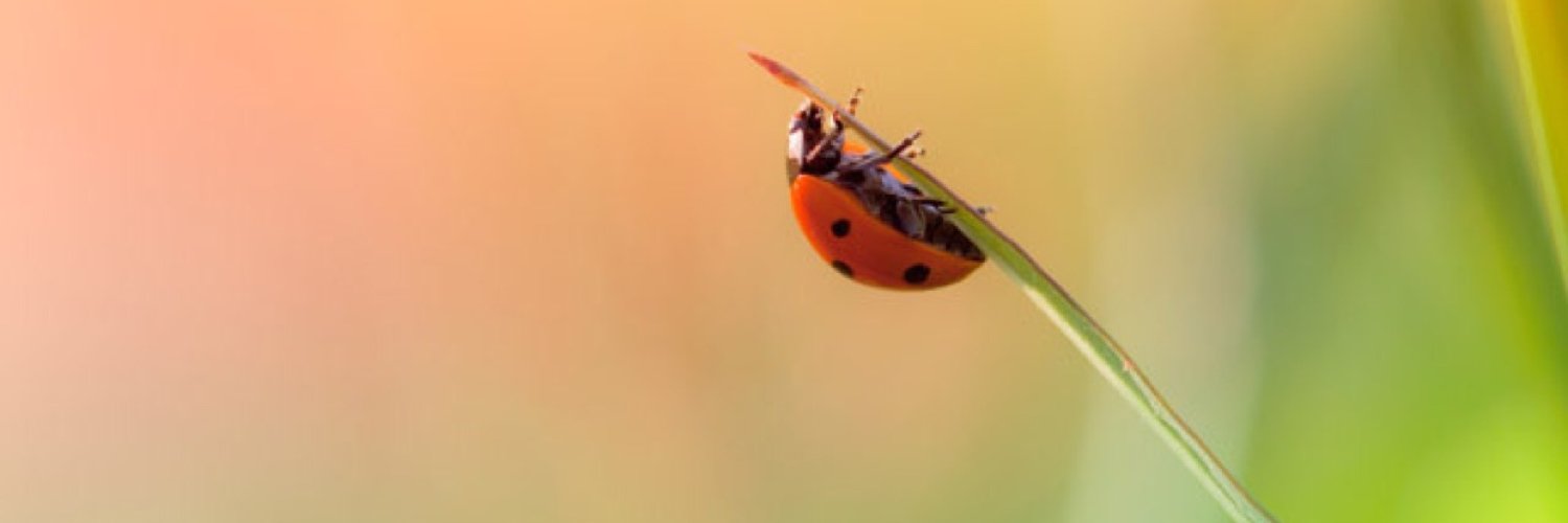 minimarcma's profile banner image