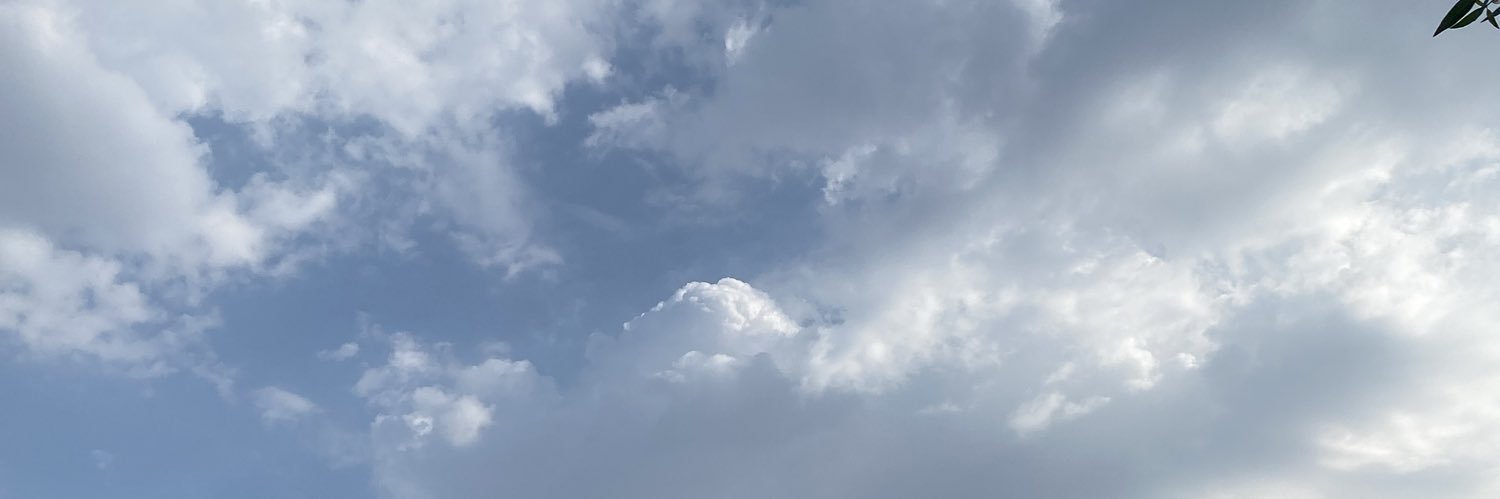 Z banner