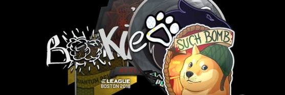 BookieCS's profile banner image