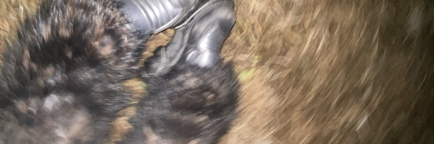 chica ecclésiastique banner