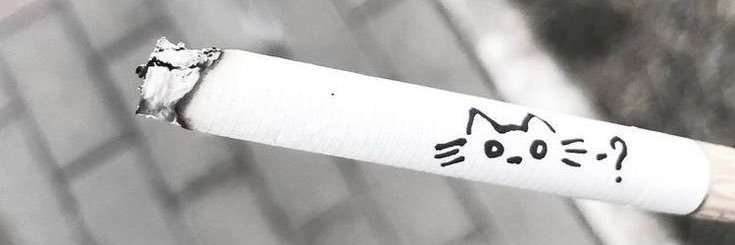 mii .ᐟ banner