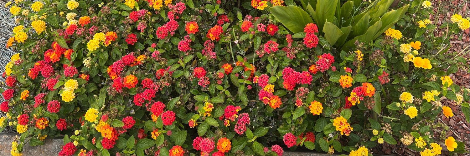 Vista0279's profile banner image