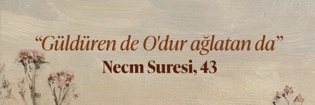 sehle banner