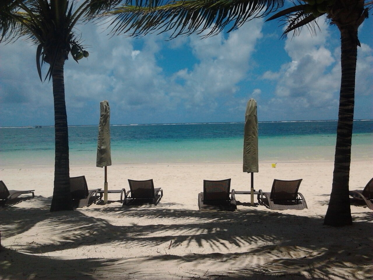 Jorge Fenor Fuentes banner