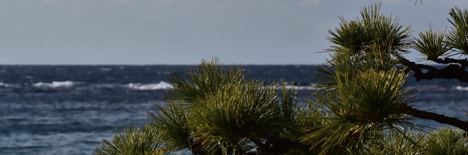 no_da_59's profile banner image