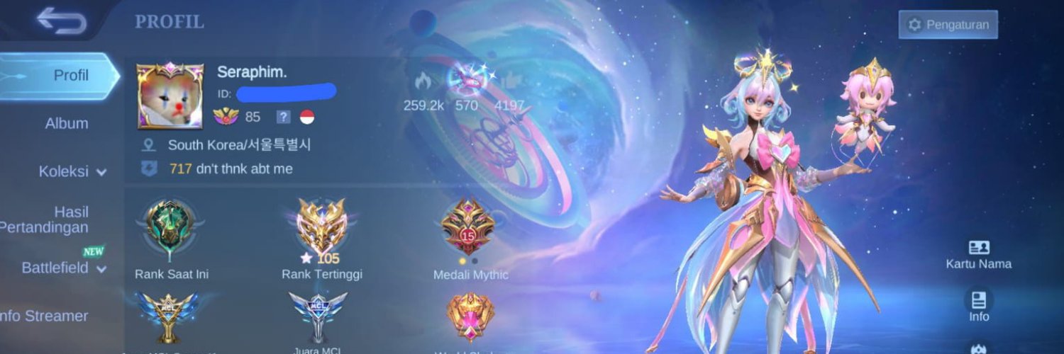 nysellee's profile banner image